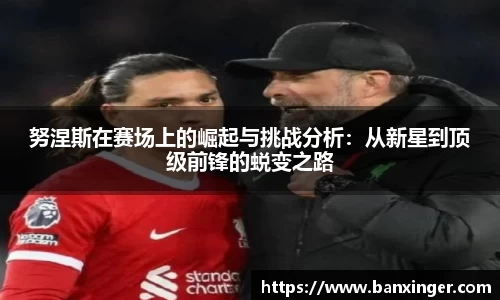 努涅斯在赛场上的崛起与挑战分析：从新星到顶级前锋的蜕变之路